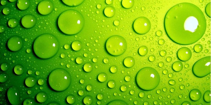 1920x1200 30 HD Green Wallpapers