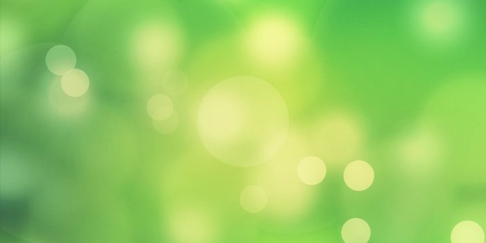 2560x1440 66+ Green Color Wallpapers on WallpaperPlay