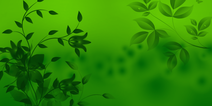 2560x1600 Green Wallpapers HD
