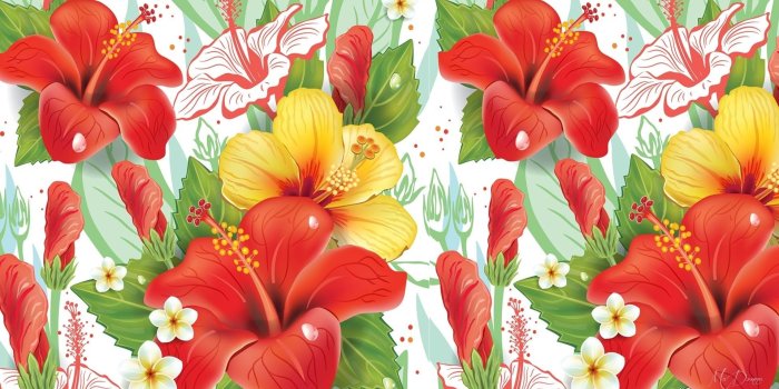 1920x1080 57+ Hibiscus Wallpapers on WallpaperPlay