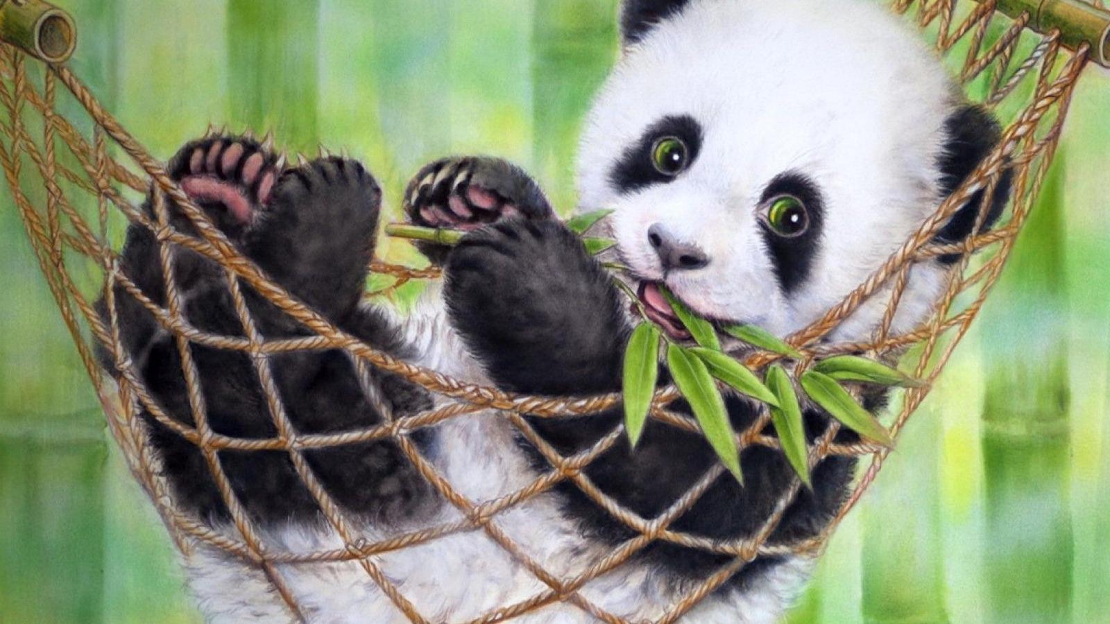 1920x1080 Cute Baby Panda Bear Wallpaper | Best HD Wallpapers | Wallpaperscute