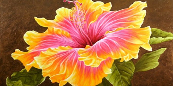 1280x804 Beautiful Hibiscus Flower wallpapers | Beautiful Hibiscus Flower
