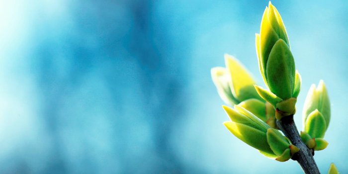 1920x1080 Blue and Green HD Wallpaper » FullHDWpp - Full HD Wallpapers 1920x1080