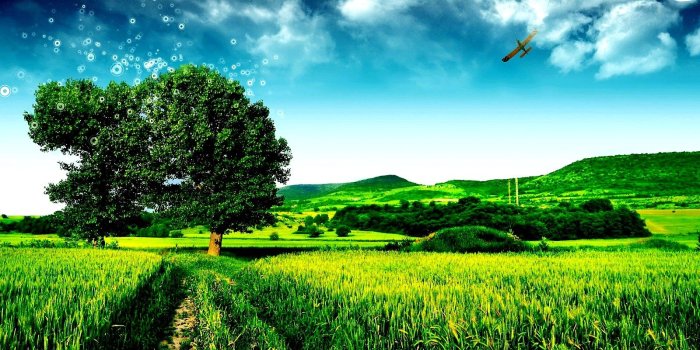 1600x900 Green Hd Wallpaper, Collection of Green HD Backgrounds, Green HD HD