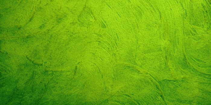 1920x1080 Top 10 Punto Medio Noticias | Background Designs Hd Green