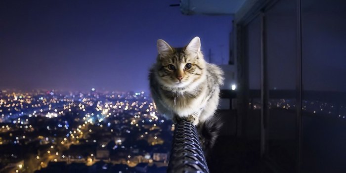 1920x1080 SIck Images Wallpaper (62+ images)