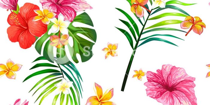 1000x1000 realistic illustration, seamless pattern with tropical hibiscus