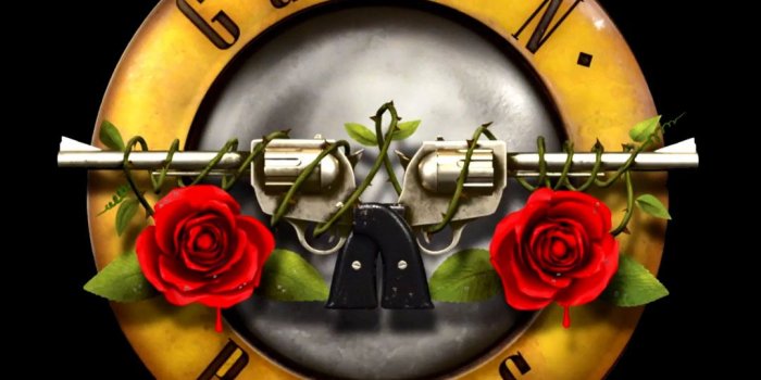 1080x1920 Guns N' Roses
