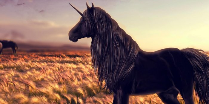 1440x1280 Black Unicorn Wallpapers - Top Free Black Unicorn Backgrounds