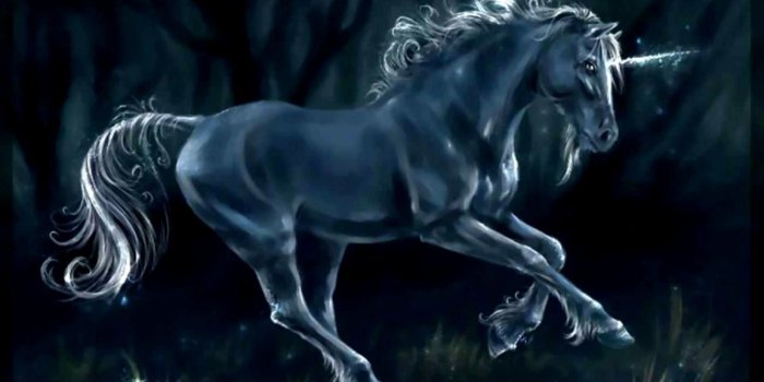 1152x962 Black Unicorn Wallpaper Desktop | Metro Wallpapers