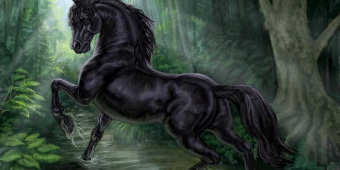1188x889 Black Unicorn Wallpapers - Top Free Black Unicorn Backgrounds