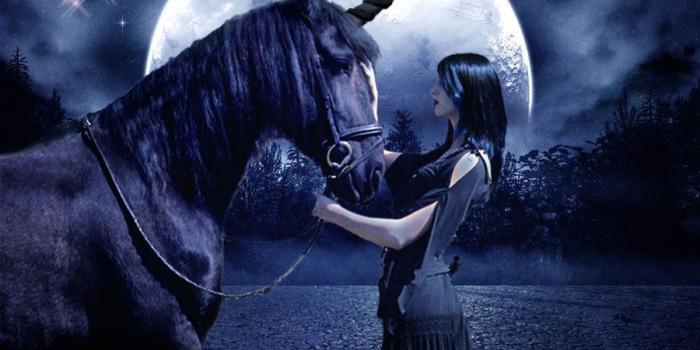 900x911 Black Unicorn Wallpapers - Top Free Black Unicorn Backgrounds