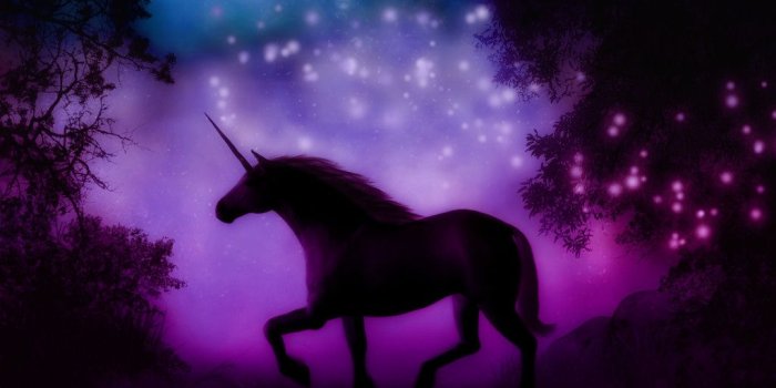 1024x768 75+] Free Unicorn Wallpaper on WallpaperSafari