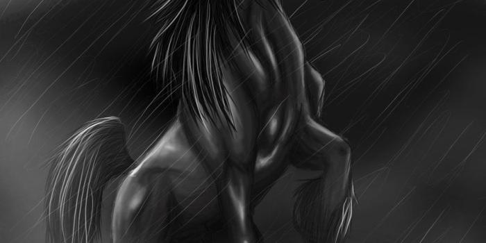 900x1125 Black Unicorn Wallpapers - Top Free Black Unicorn Backgrounds