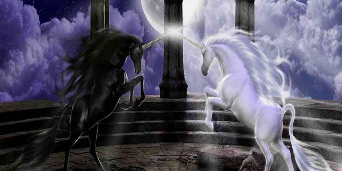 1024x768 Unicorns Wallpapers