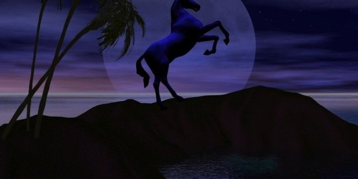 1024x768 Unicorn Wallpapers Unicorns Wallpapers (5306157) Fanpop Desktop