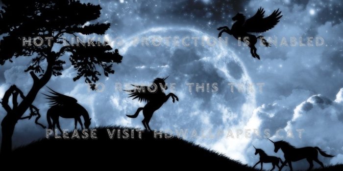 1024x768 magic by moonlight black unicorn dark trees