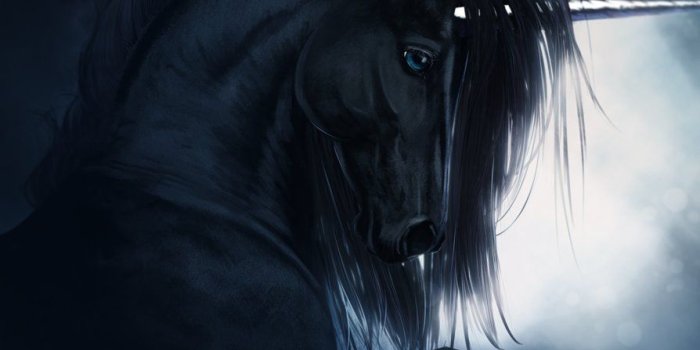894x894 Black unicorn wallpaper