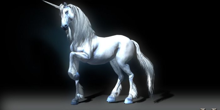 1024x768 Unicorn Wallpaper - Unicorns Wallpaper (5306182) - Fanpop