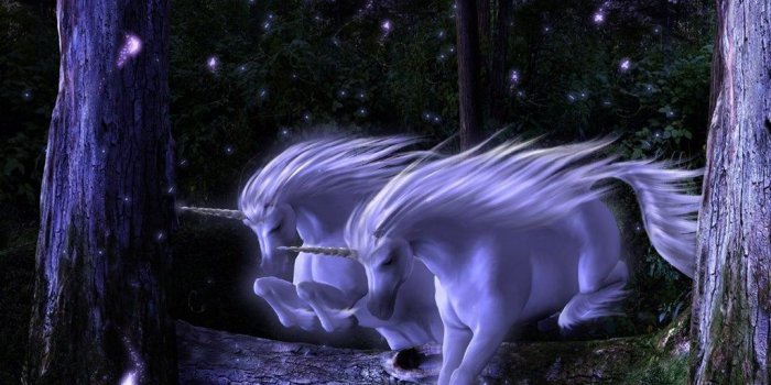 1024x819 Unicorn Wallpapers Unicorns Wallpapers (6100051) Fanpop Desktop