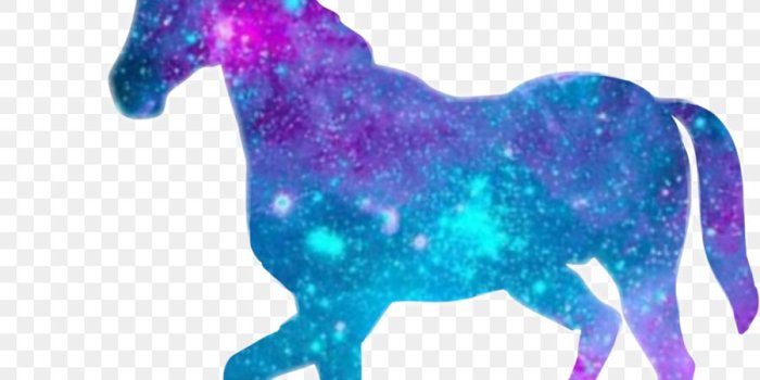 900x900 Unicorn Clipart png download - 1143*1135 - Free Transparent Unicorn