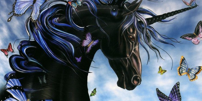 1600x1200 Unicorn Wallpaper and Background Image | 1600x1200 | ID:831513