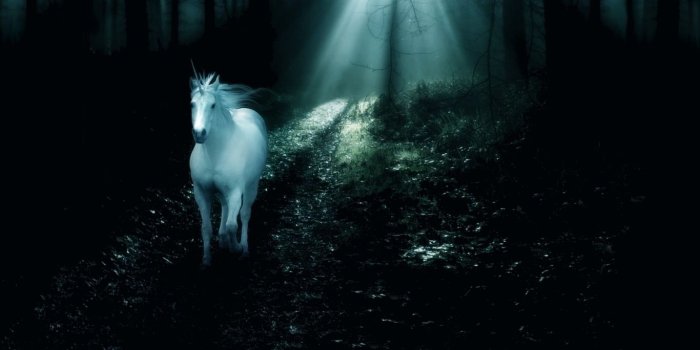 1366x768 08.13.15 ~ Unicorn Pictures, Fantasy Image Galleries
