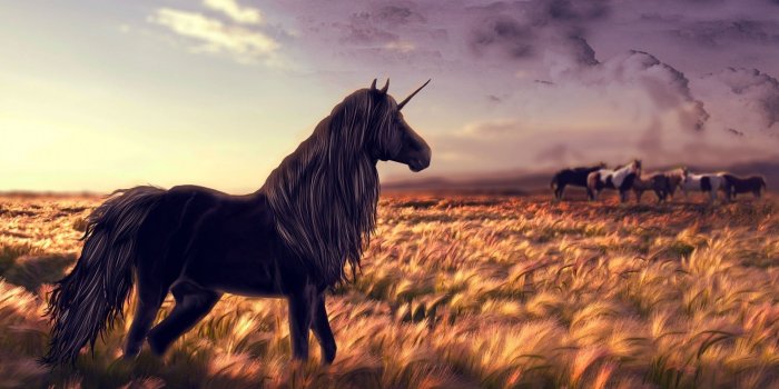 1920x1080 2958139 1920x1080 unicorns black horse wallpaper and background JPG
