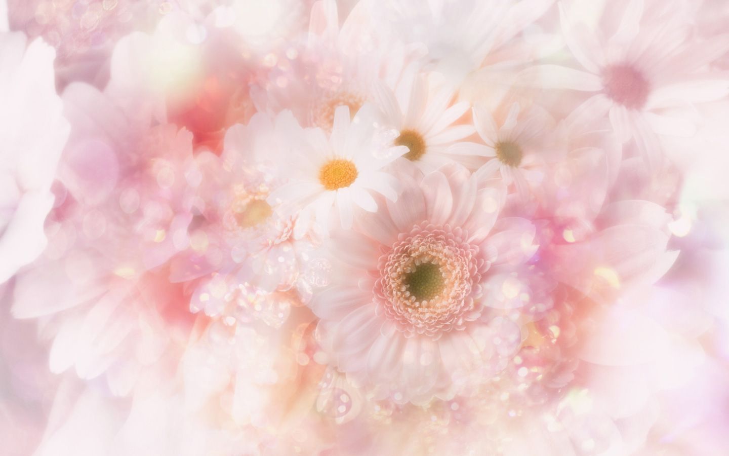 1440x900 Cute Pink Flowers wallpaper | 1440x900 | #22756