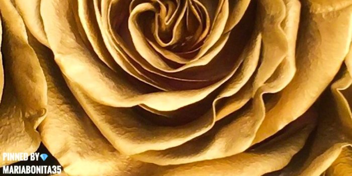 999x2500 Gold Aesthetic | Nice patterns | Gold aesthetic, Gold wallpaper