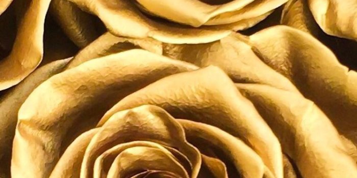 748x1054 Nina Sabina Caballero on Beauty Golden in 2019 | Gold