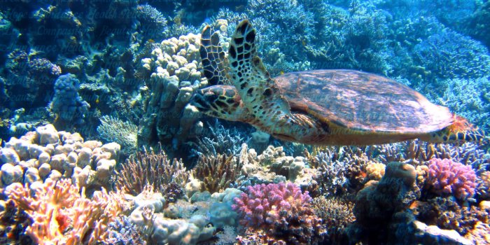 1920x1080 49+] Subliminal Wallpaper on WallpaperSafari