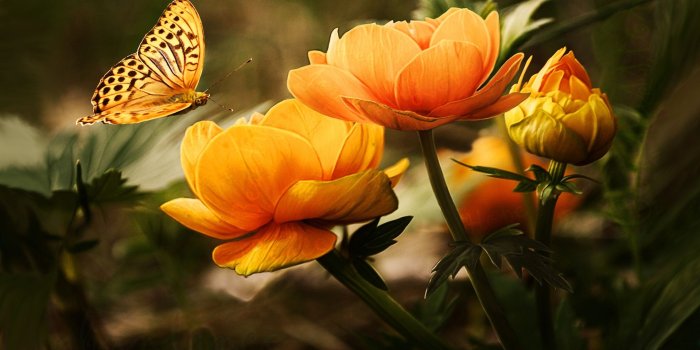 1920x1080 Free Subliminal Message Desktop Wallpapers Created by Briana Blair