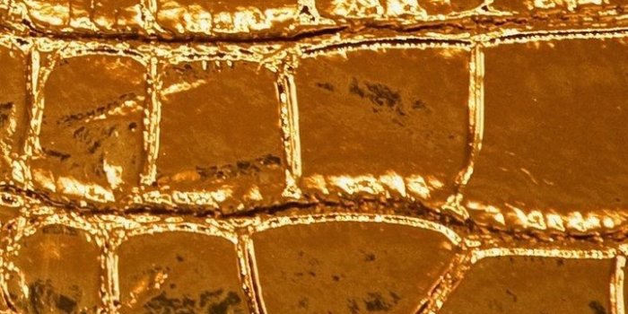 720x1280 ☆ beautiful pictures . gold skin texture | Research and sourcing in