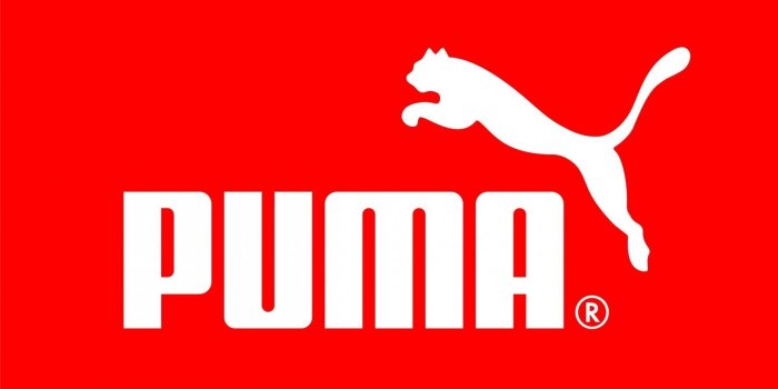 1920x1080 Puma Wallpapers
