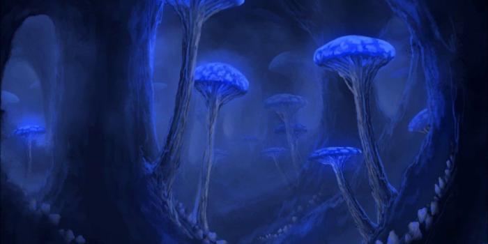 1280x720 Terraria Speedpaint - Glowing Mushroom Biome