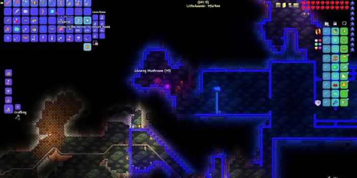 1920x1080 Terraria Expert Mode 46 - Giant Mushroom Biome