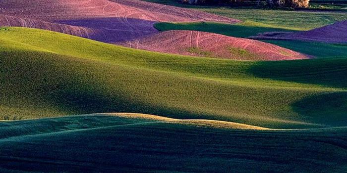 1080x1920 Colorful Valley Full HD Smartphone Wallpaper | Gallery Yopriceville