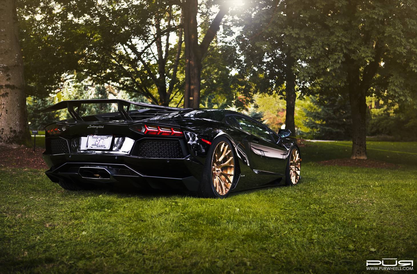 1460x959 Gold And Black Lamborghini Wallpaper 8 Desktop Wallpaper