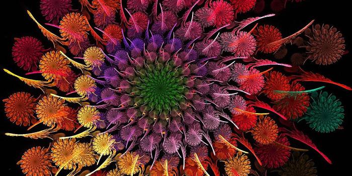 1440x2560 1440x2560 Cool Colorful Abstract Flower lg smartphone Wallpaper HD