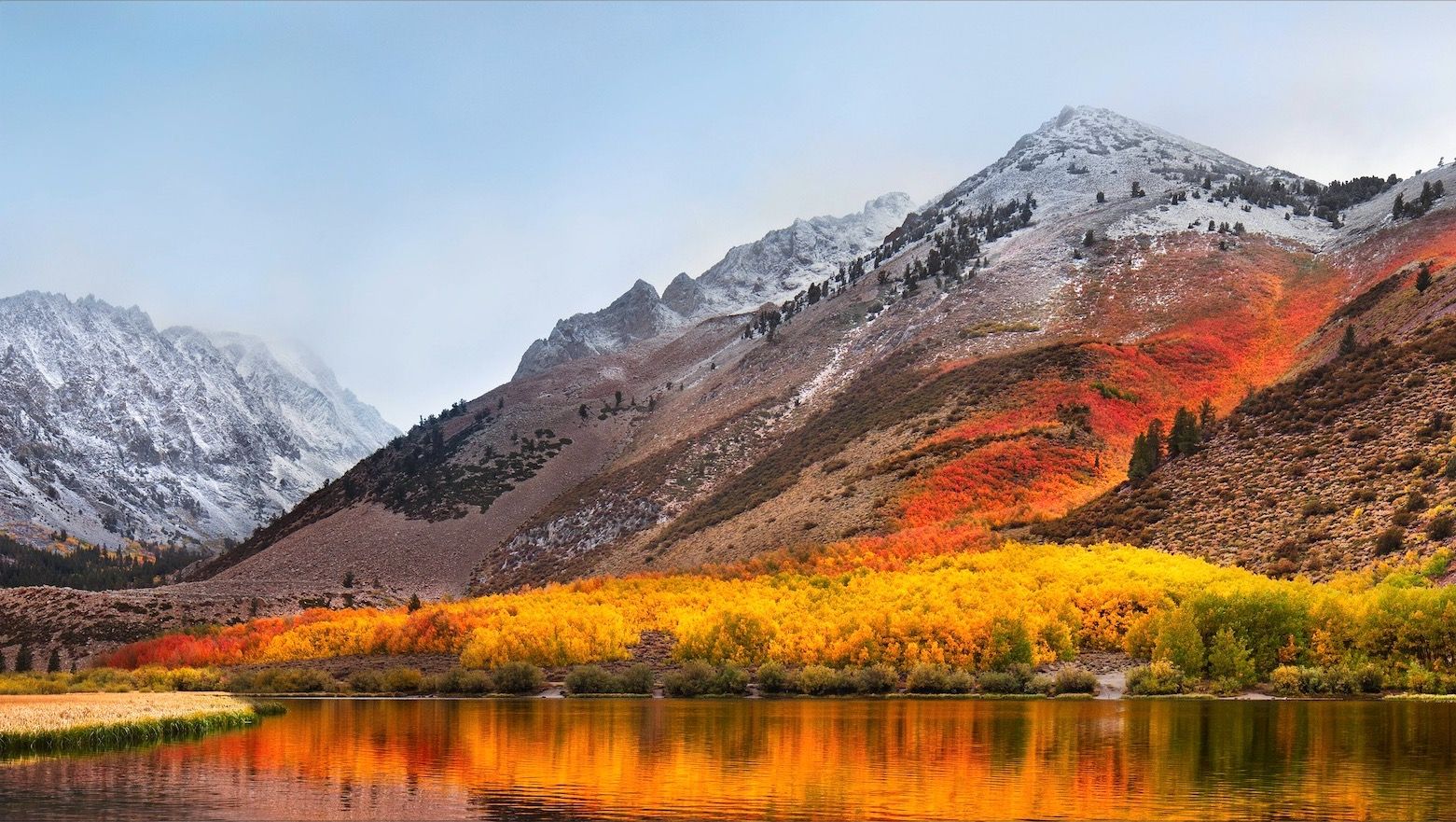 1561x881 Get the MacOS High Sierra Default Wallpaper