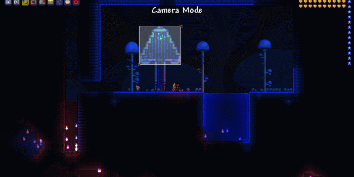 1920x1080 PC - Mushroom house is not a valid house | Terraria Community Forums