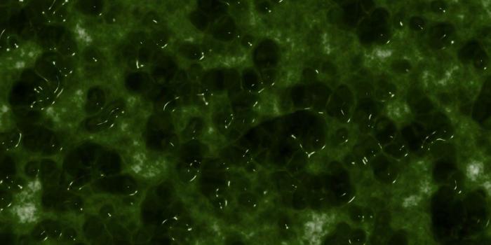 1600x900 Slime Wallpapers