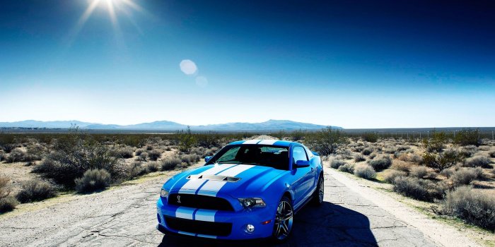 1920x1080 Ford Shelby GT500 Car Wallpapers in jpg format for free download