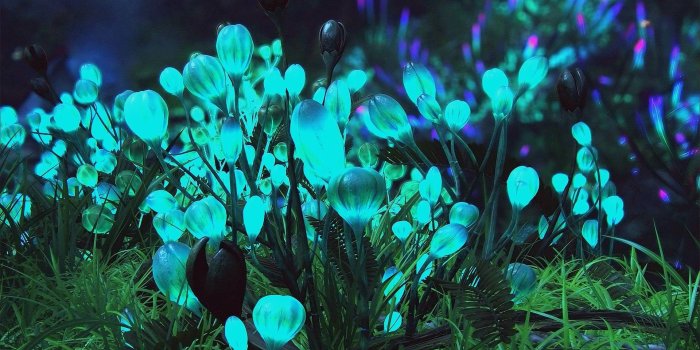 1920x1080 Fighting, Fantasy, Artworks, Desktop Wallpapers,high Definition