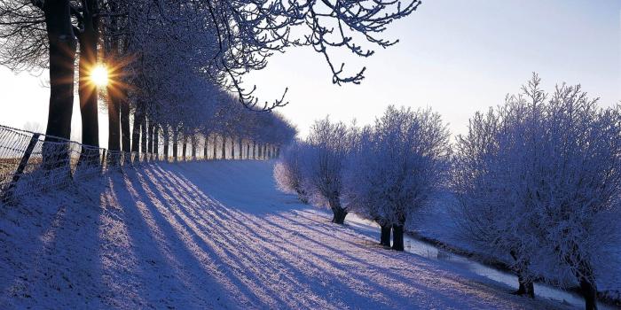 1920x1200 65+ Country Winter Wallpapers - Download at WallpaperBro