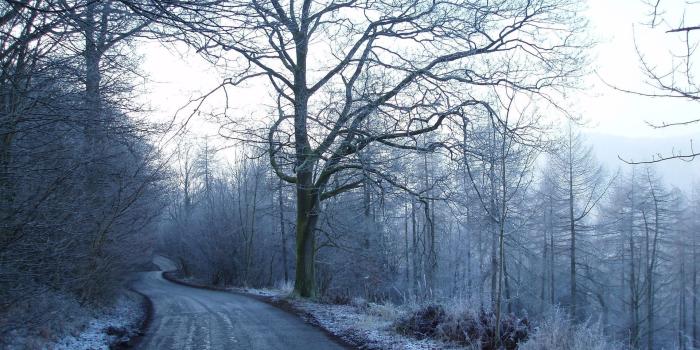 1920x1080 Country Winter Wallpaper | frosty, wallpapers, desktop, winter