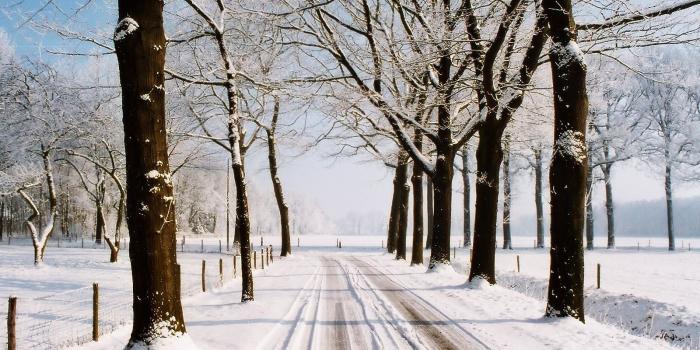 1600x1200 Winter country road wallpapers | Winter country road stock photos