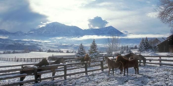 1920x1080 clouds, Landscapes, Nature, Winter, Snow, Trees, Skylines, Fences