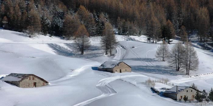 2560x1440 Winter Countryside Forest Snow White Country Nature - Country Winter